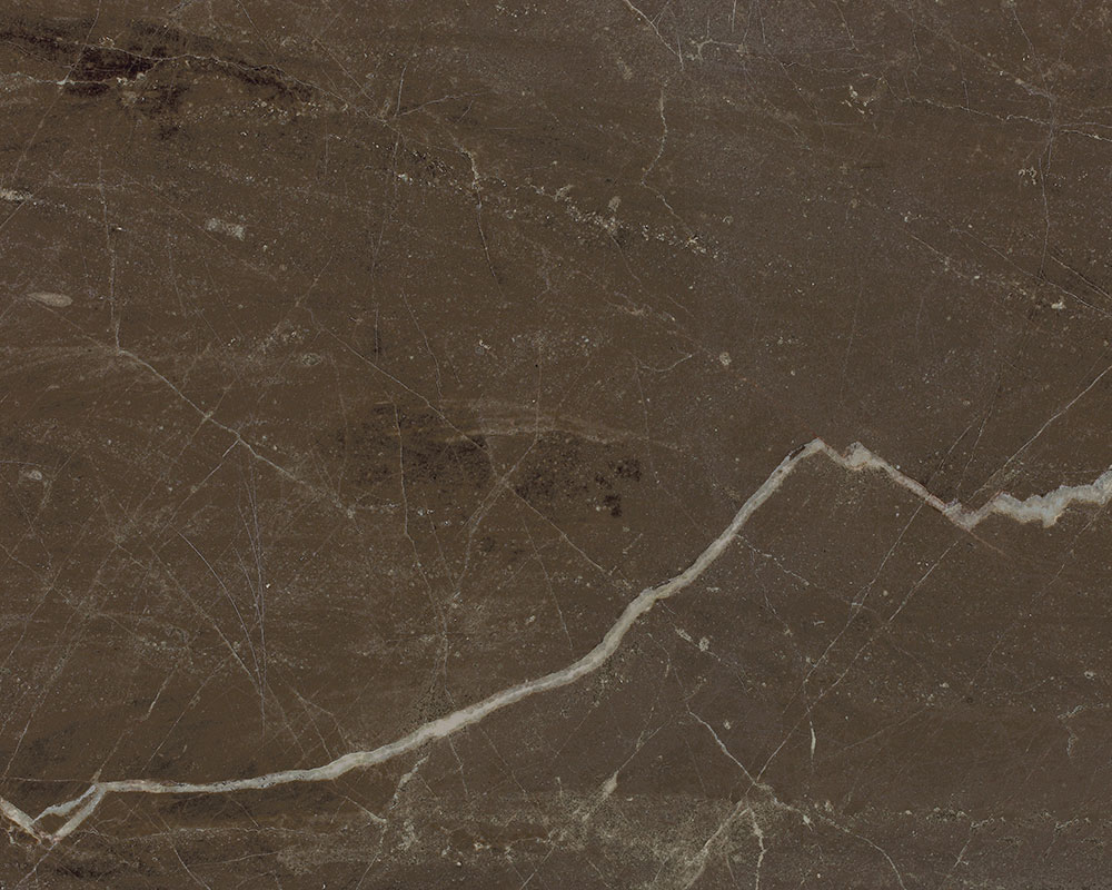 Coffee Brown — natural stone slab for custom countertops and tables
