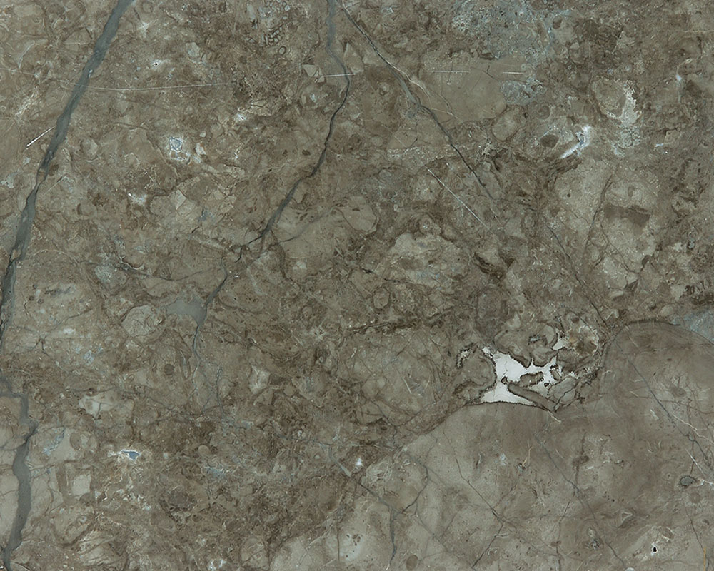 Grey William — natural stone slab for custom countertops and tables