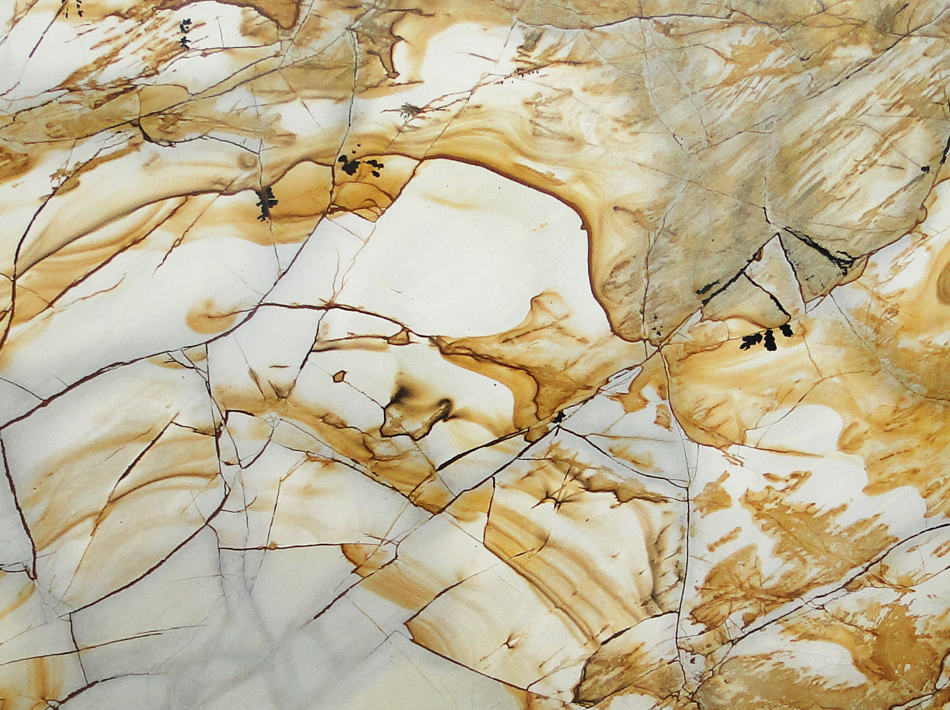 Roma Imperial Marble — natural stone slab for custom countertops and tables
